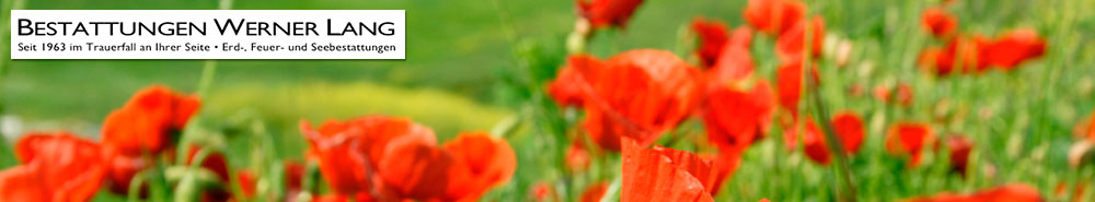 Bestattungen Werner Lang