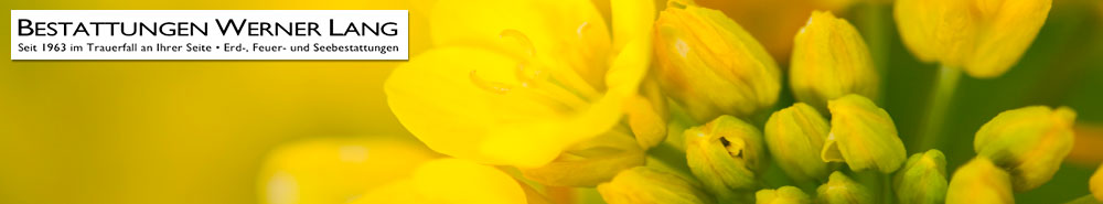 bestattungen Lang Erdbestattung